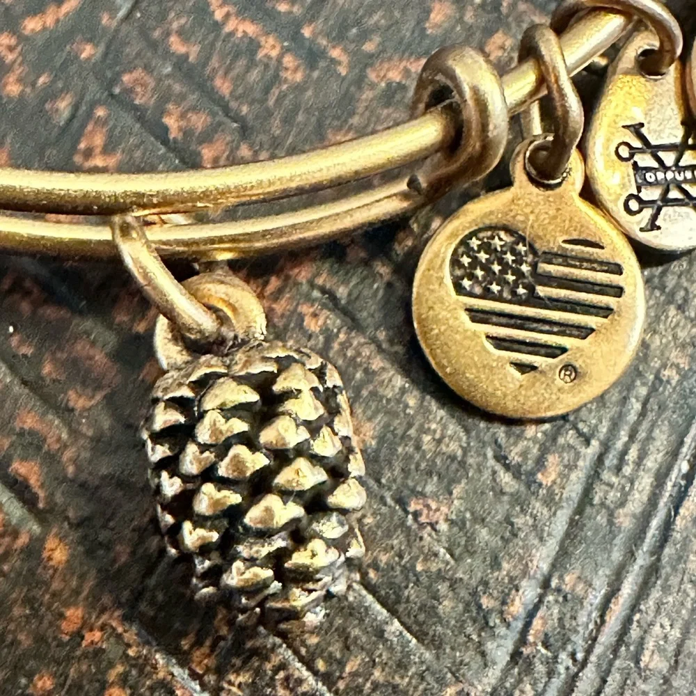 NWT Alex and Ani Matte Gold Acorn Charm Bangle Bracelet - Picture 2 of 2